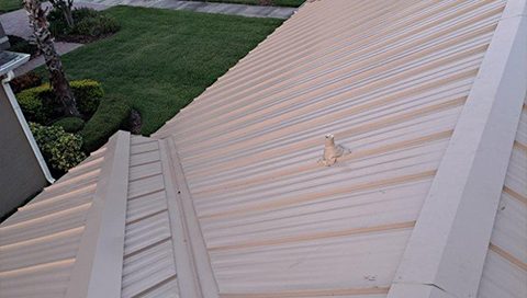 Metal roof project
