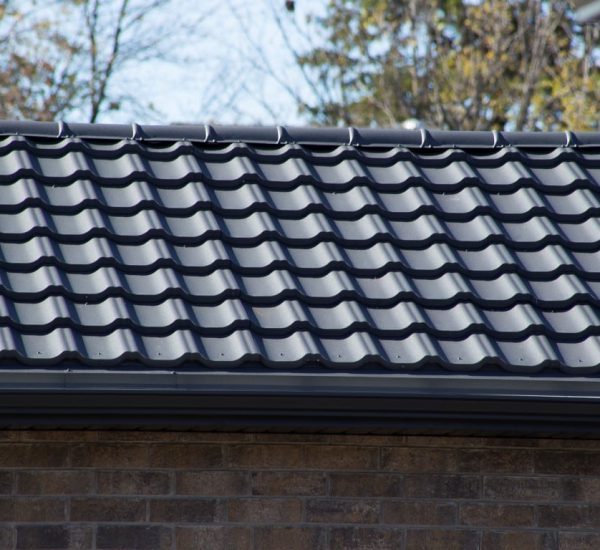 Worthouse roof project